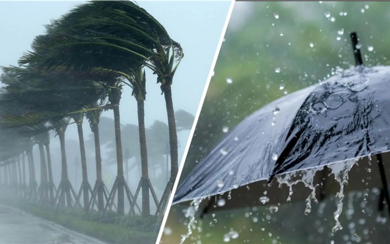 الأرصاد تحذر من عواصف ترابية وأمطار في الساعات المقبلة